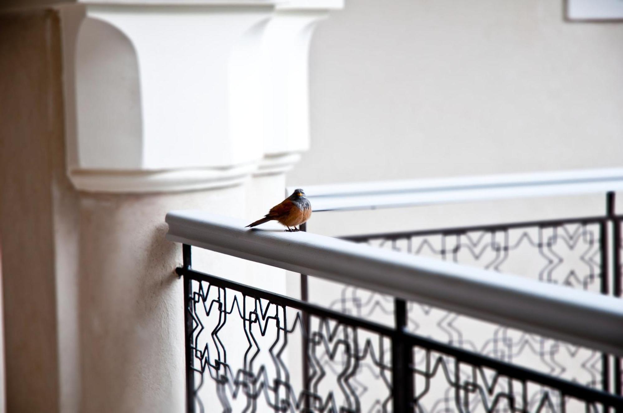 Riad Nashira & Spa Marrakesh Exterior photo
